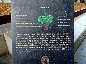 10 20210923 ALMERIA CENTRE VILLE AV FREDERICO GARCIA LORCA (3)